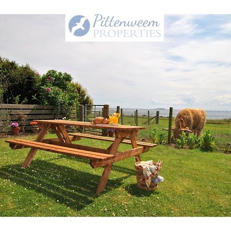 Clover Cottage Countryside Retreat With Sea Views كرايل المظهر الخارجي الصورة