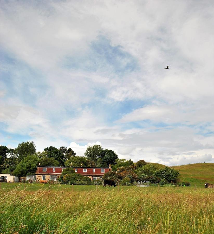 Clover Cottage Countryside Retreat With Sea Views كرايل المظهر الخارجي الصورة