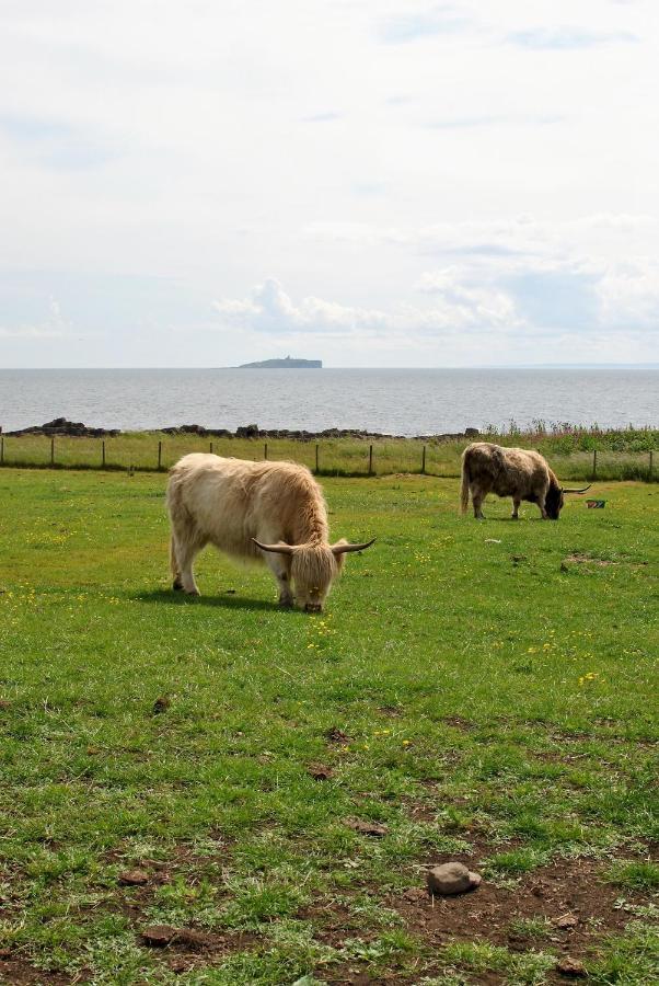 Clover Cottage Countryside Retreat With Sea Views كرايل المظهر الخارجي الصورة