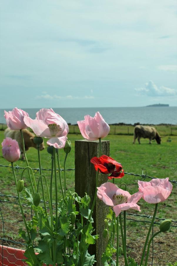 Clover Cottage Countryside Retreat With Sea Views كرايل المظهر الخارجي الصورة