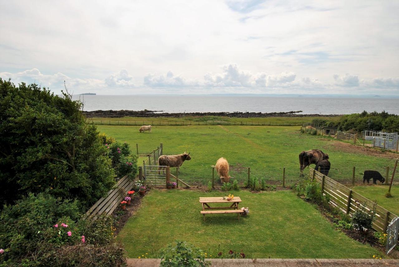 Clover Cottage Countryside Retreat With Sea Views كرايل المظهر الخارجي الصورة